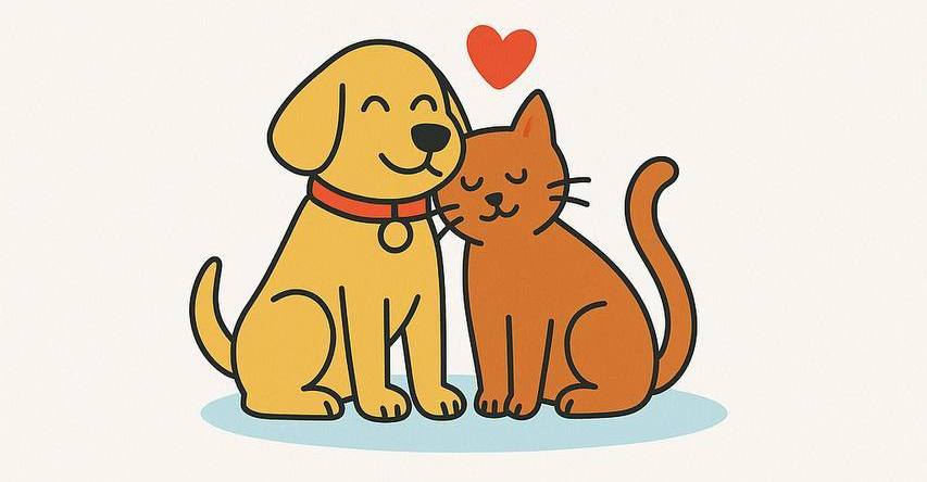 Ми – pet friendly! Але є важливе прохання ❤️