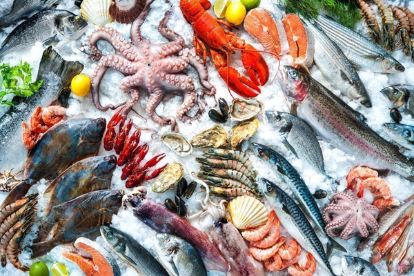 Fish Service