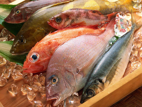 Fish House Bar