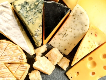 The world of cheese