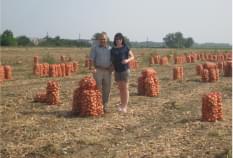 Ездили по Украине, приглашали фермеров продавать урожай на рынке Столичный
