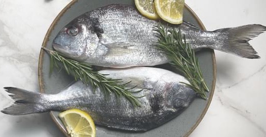 Риба та морепродукти